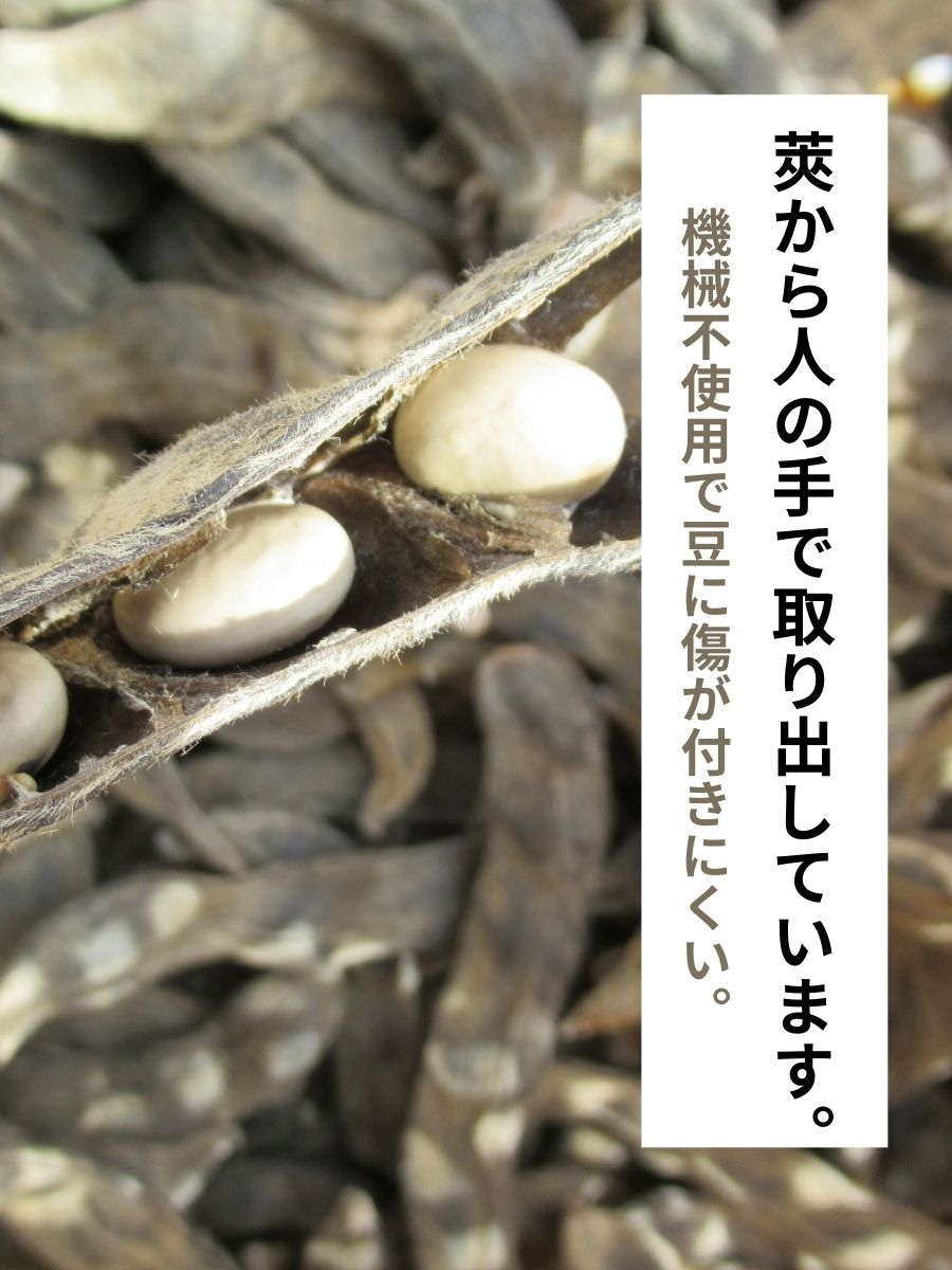 【鹿児島県産】乾燥ムクナ豆（八升豆）100g