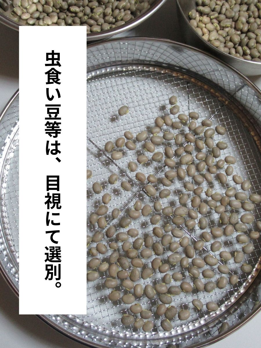 【鹿児島県産】乾燥ムクナ豆（八升豆）100g
